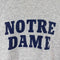 Champion Notre Dame Hoodie Sweatshirt