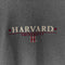 Champion Harvard University Embroidered Sweatshirt