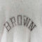 Champion Reverse Weave Brown University Thrashed Sweatshirt