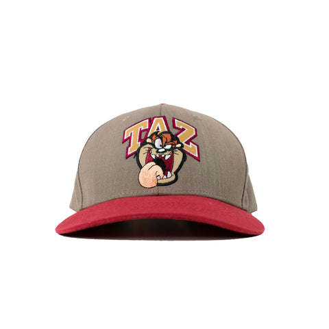 Six Flags Taz Spell Out Snap Back Hat